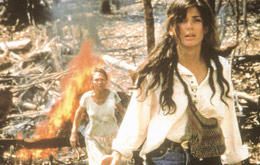 Fire on the Amazon