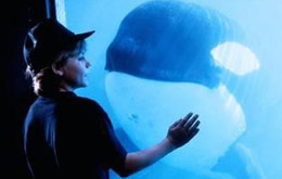 Free Willy