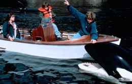 Free Willy 2 - Freiheit in Gefahr