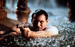 Hard Rain