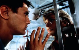 Species II