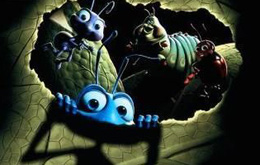 Das große Krabbeln