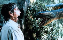 Anaconda