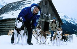 Snow Dogs - 8 Helden auf 4 Pfoten