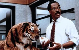 Dr. Dolittle