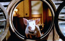 Schweinchen Babe in der großen Stadt