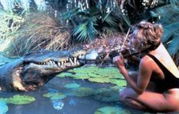 Crocodile Dundee - Ein Krokodil zum Küssen