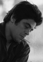 Benicio Del Toro