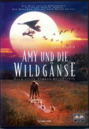 Filmplakat Amy und die Wildgänse