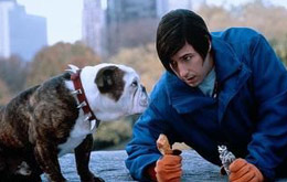 Little Nicky - Satan Junior