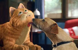 Garfield