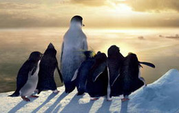 Happy Feet