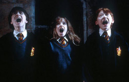Harry Potter und der Stein der Weisen