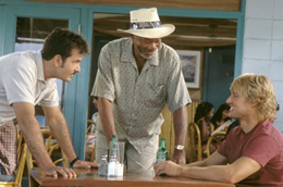 Hawaii Crime Story