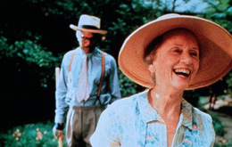 Miss Daisy und ihr Chauffeur