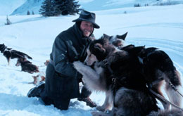 Wolfsblut