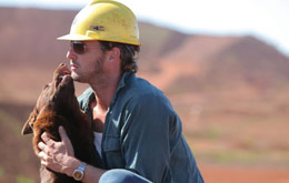 Red Dog