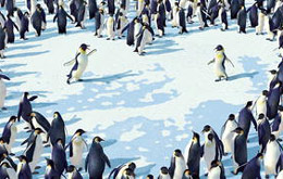 Happy Feet