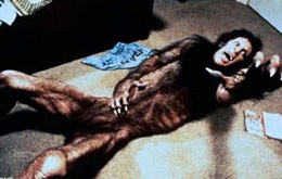 American Werewolf