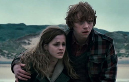 Harry Potter und die Heiligtümer des Todes (1)