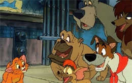Oliver & Co.