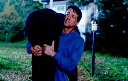 Avenging Angelo
