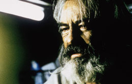 Amores Perros - Was ist Liebe?