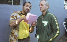 Broken Flowers
