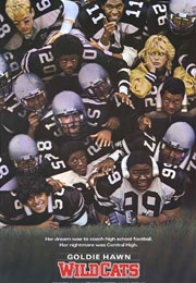 Filmplakat American Wildcats