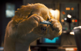 Cats & Dogs 2 - Die Rache der Kitty Kahlohr