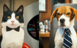 Cats & Dogs 2 - Die Rache der Kitty Kahlohr
