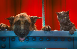Cats & Dogs 2 - Die Rache der Kitty Kahlohr