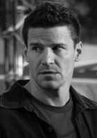 David Boreanaz