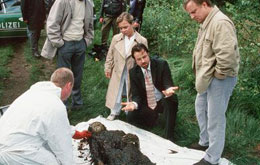 Tatort - Der dunkle Fleck (TV)
