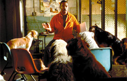 Dr. Dolittle 2