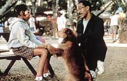 Dr. Dolittle
