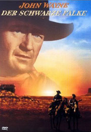 Filmplakat Der schwarze Falke