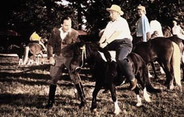 ferien auf immenhof ganzer film ferien auf immenhof ganzer film