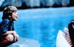 Free Willy