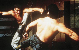 Geballte Ladung - Double Impact