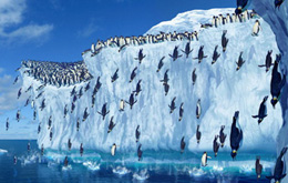 Happy Feet