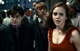 Harry Potter und die Heiligtümer des Todes (1)