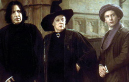 Harry Potter und der Stein der Weisen