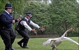 Hot Fuzz - Zwei abgewichste Profis