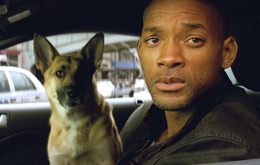 I Am Legend