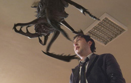 Infestation