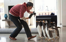 Mr. Poppers Pinguine