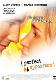 Filmplakat Das perfekte Paar