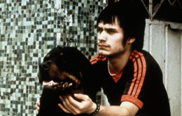 Amores Perros - Was ist Liebe?