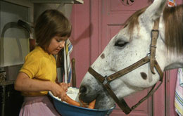 Pippi Langstrumpf